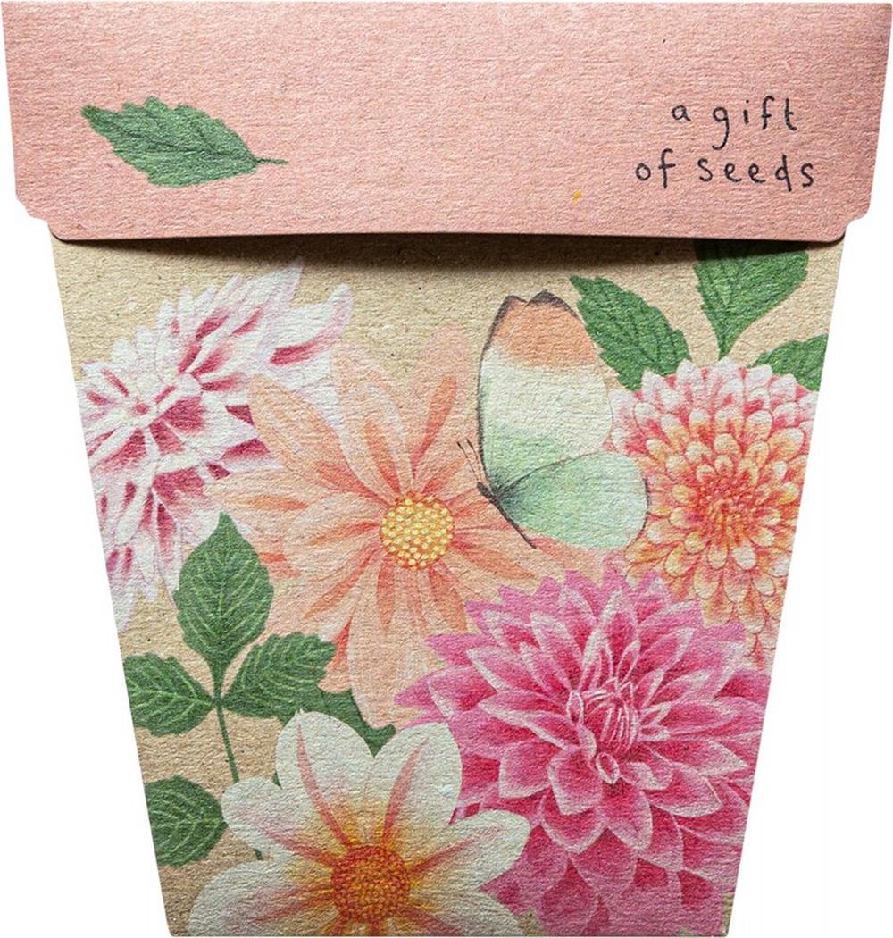 Gift of Seeds (Dahlia), 0754523943312