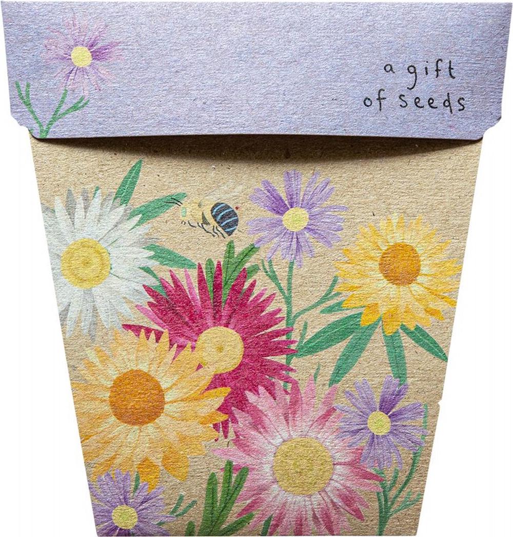 Gift of Seeds (Native Daisies), 0754523943336
