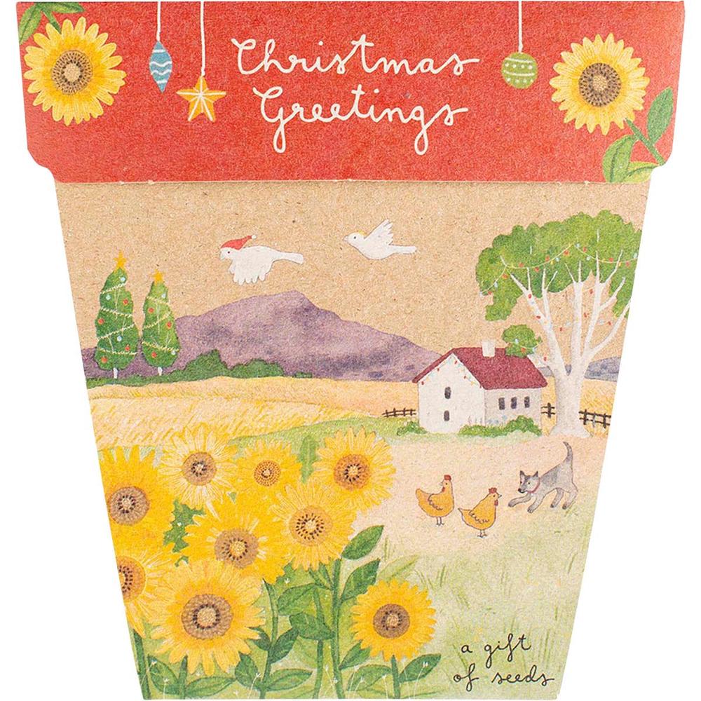 Gift of Seeds Christmas Sunflowers, 0754523943534