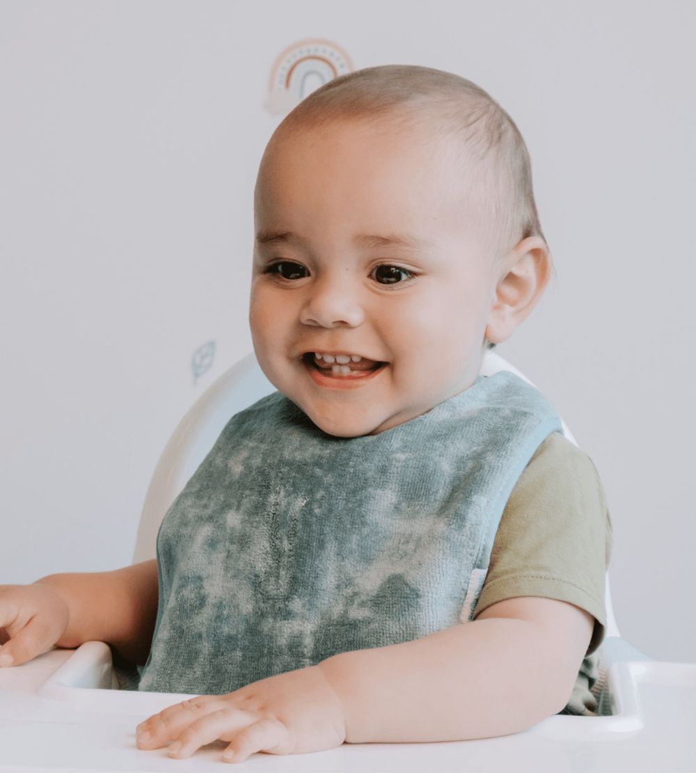 Brolly Sheets Extra Absorbent Toddler Bib (Thyme) - 30cm by Brolly Sheets - ISBN: 0754590859165