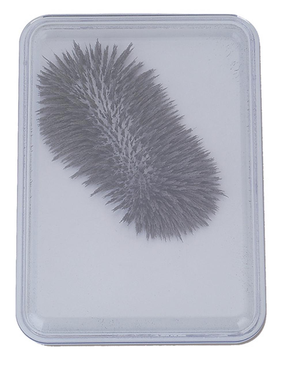 Iron Filings in Bubble Case Magnetic Toy, 0755828382202