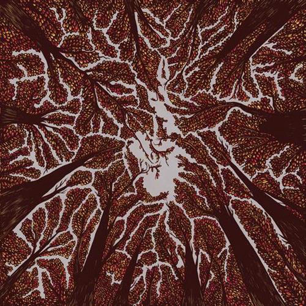 Crown Shyness - ISBN: 0790692249022