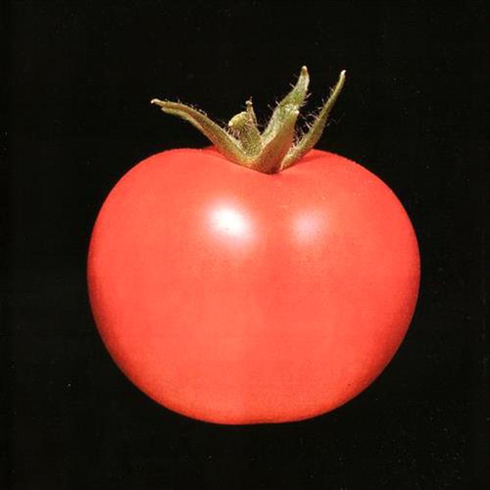 Chronophage, 0795853951219