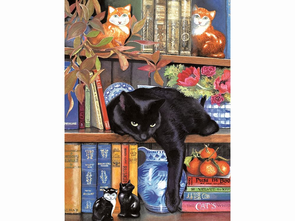 Sunsout On The Shelf Jigsaw Puzzle, 1000 Piece by Sunsout - ISBN: 0796780593671