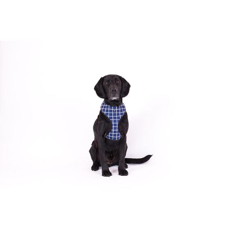 Mog & Bone Neoprene Dog Harness (Navy Check) Large Buy online at