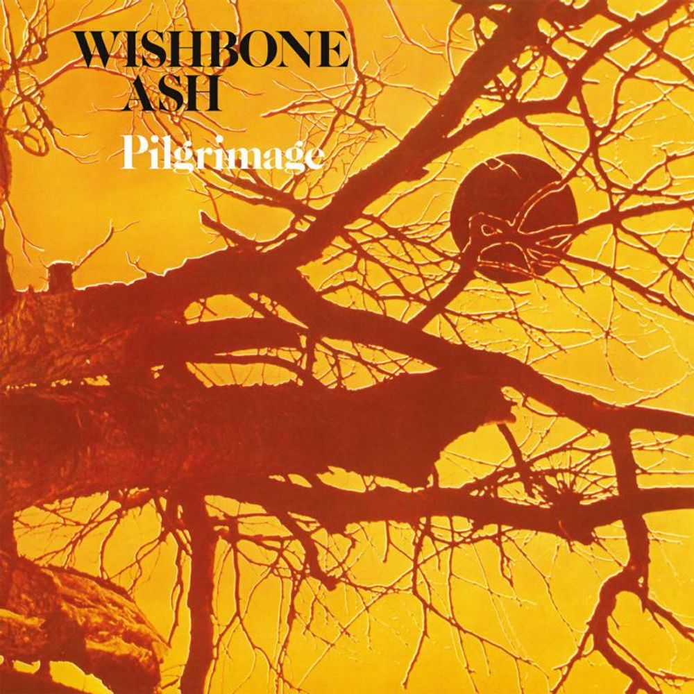 Pilgrimage - ISBN: 0805520241250