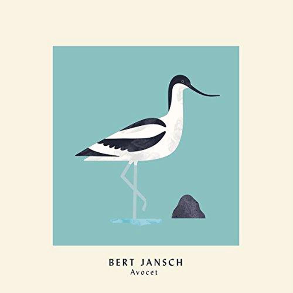 Avocet - ISBN: 0809236171061