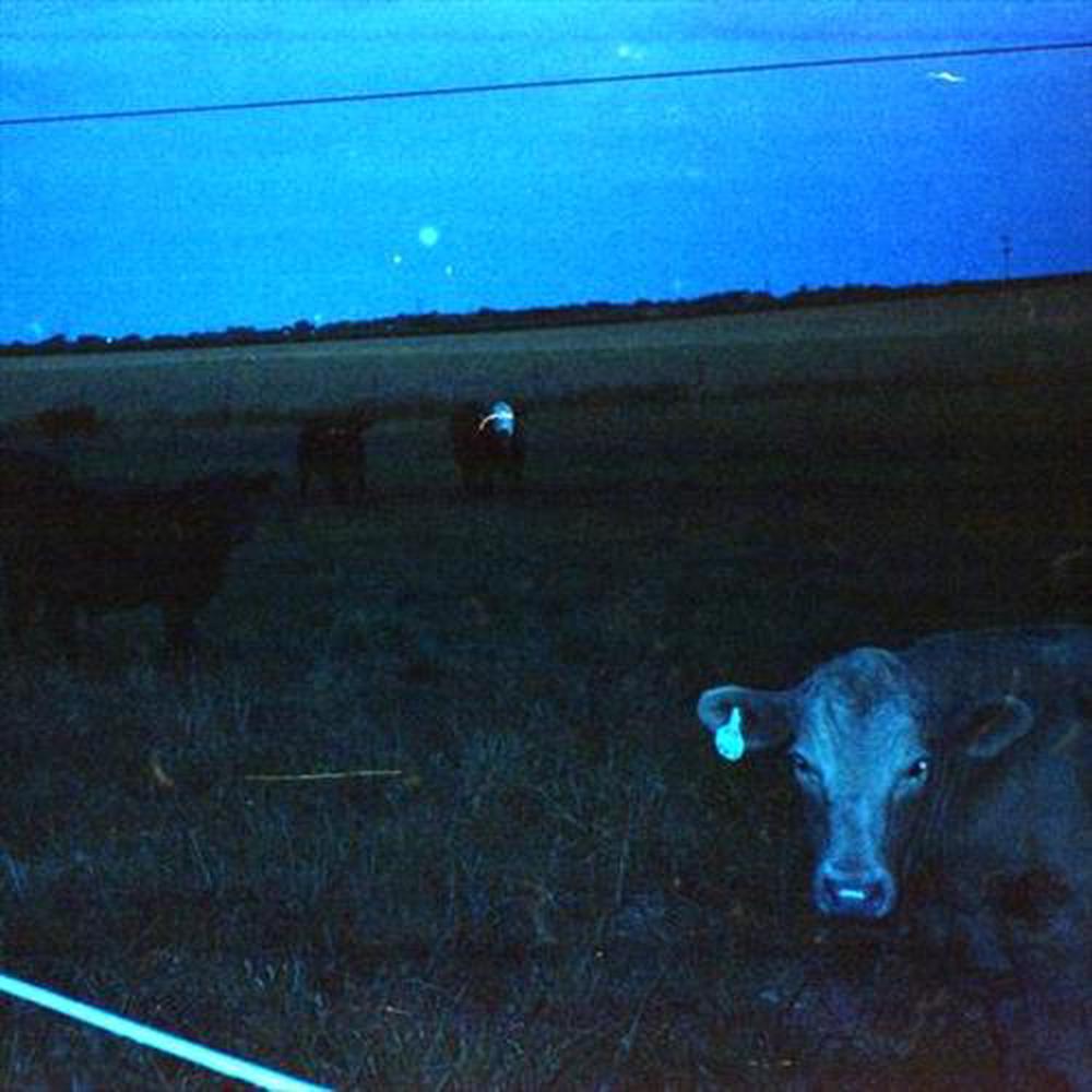 Antarctica, 0810097913837