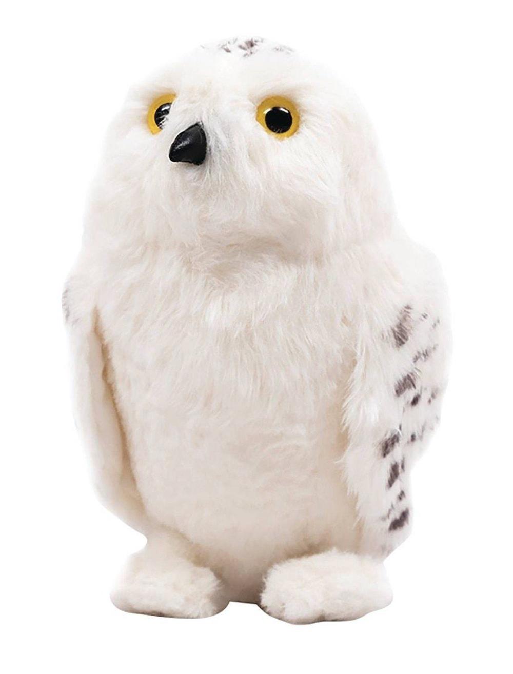 hedwig teddy