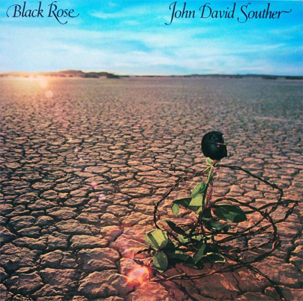 Black Rose - ISBN: 0816651011674