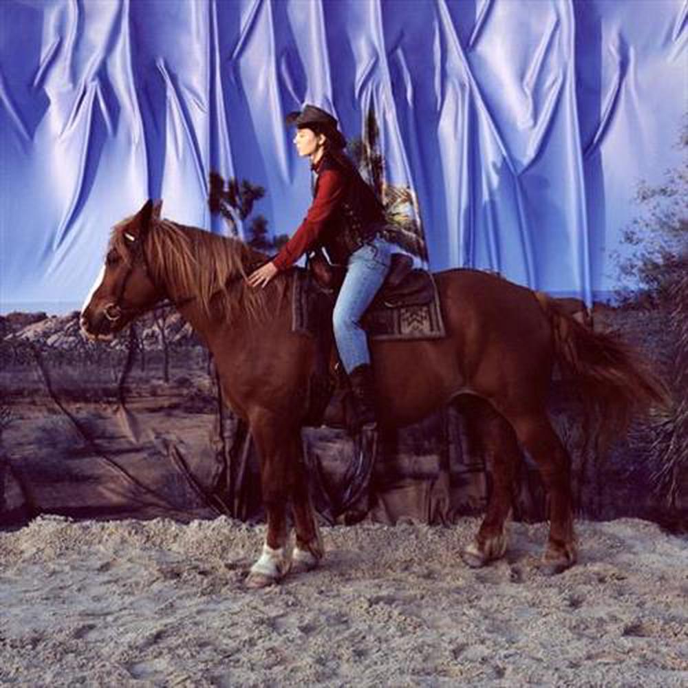 Horse - ISBN: 0843563129234