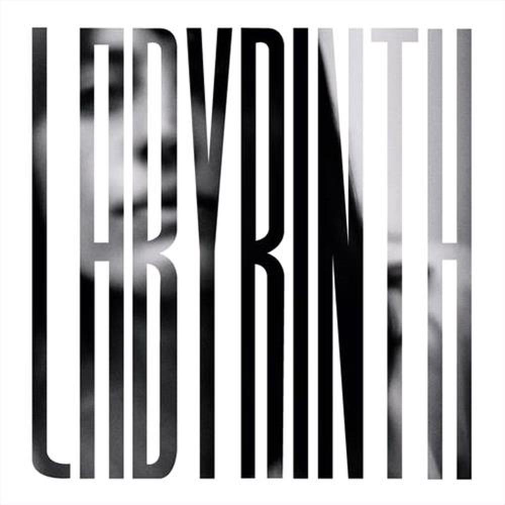 Labyrinth - ISBN: 0843563154663