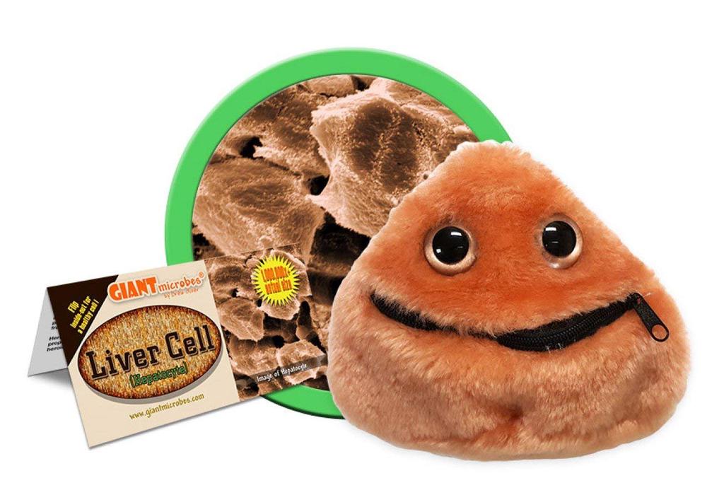 Giant Microbes Plush Toy (Liver Cell), 0846869002911