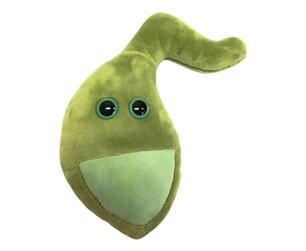 gallbladder stuffed toy