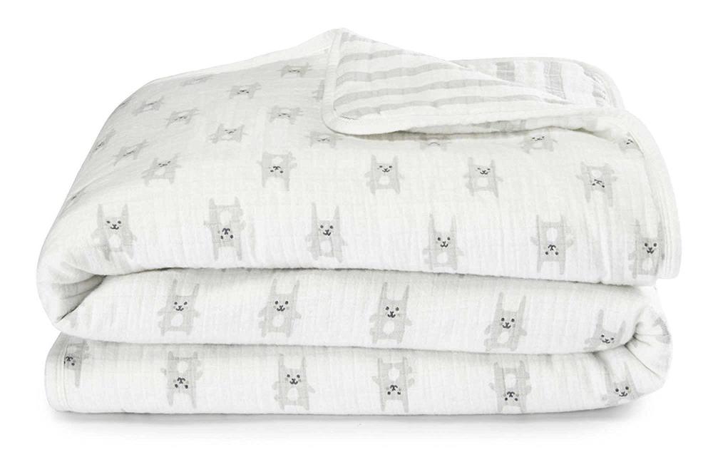 aden and anais flannel muslin blanket