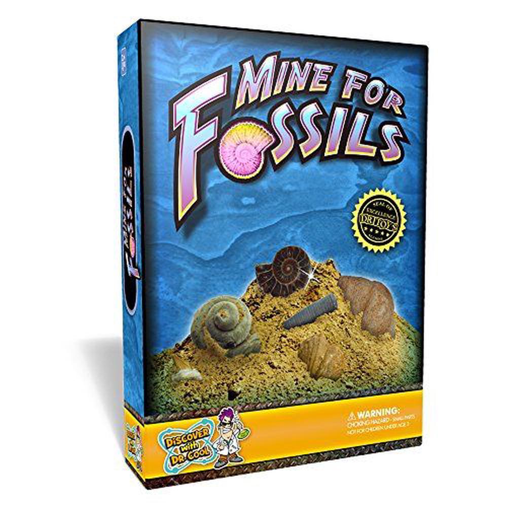 Discover with Dr. Cool Mine for Fossils Science Kit Dig Up 10 Prehistoric Fossils! Buy
