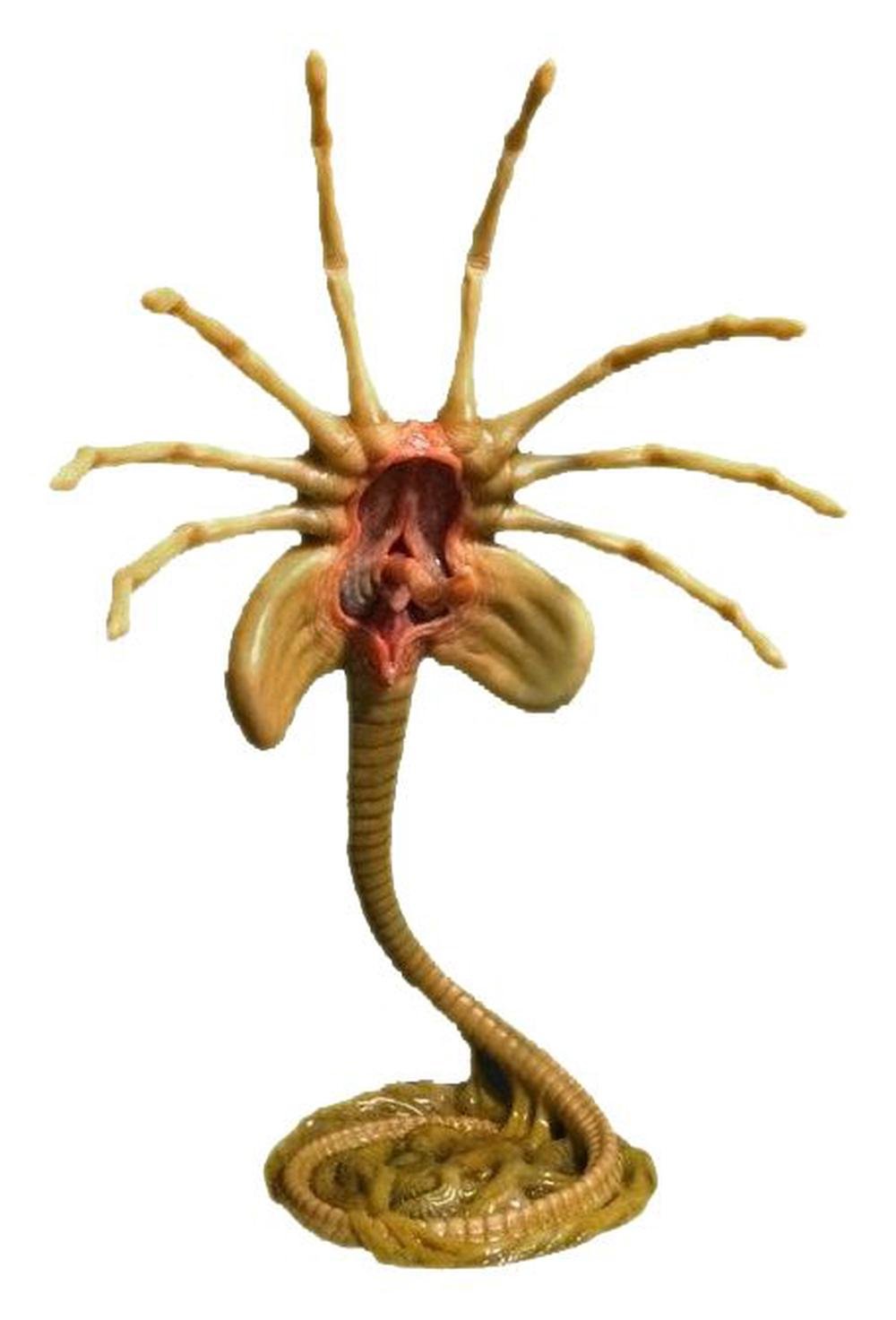 Hollywood Collectibles Group Aliens Alien Facehugger 11 Replica Buy Online At The Nile 8538