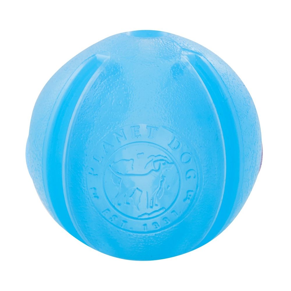 Planet Dog Orbee Tuff Guru Puzzle Treat Dispenser Dog Toy Blue Buy 