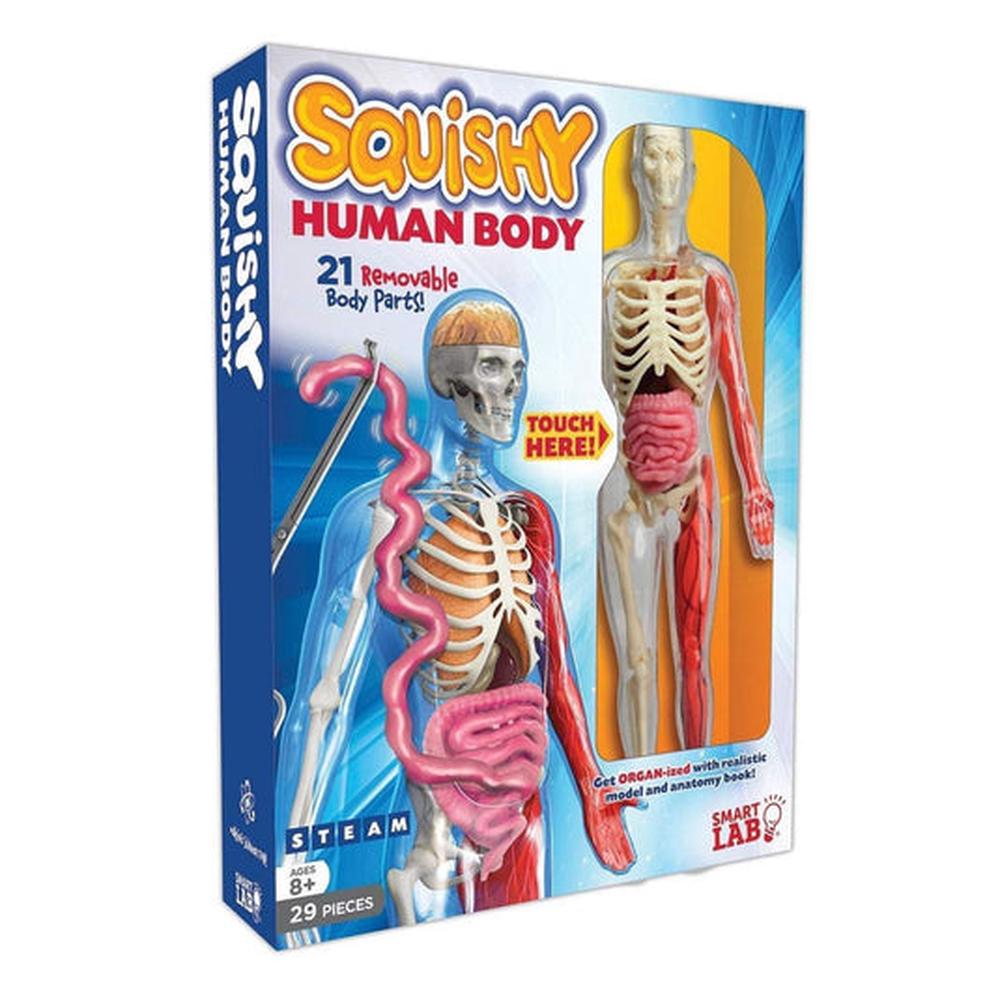 Squishy Human Body, 0860009347328