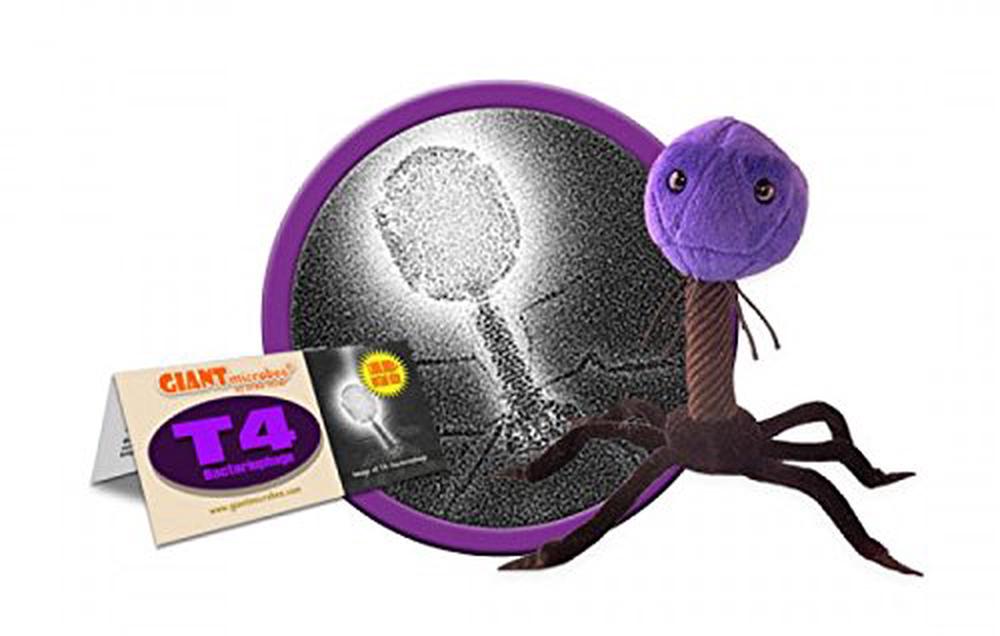 Giant Microbes Plush Toy (T4Bacteriophage) Buy online at The Nile