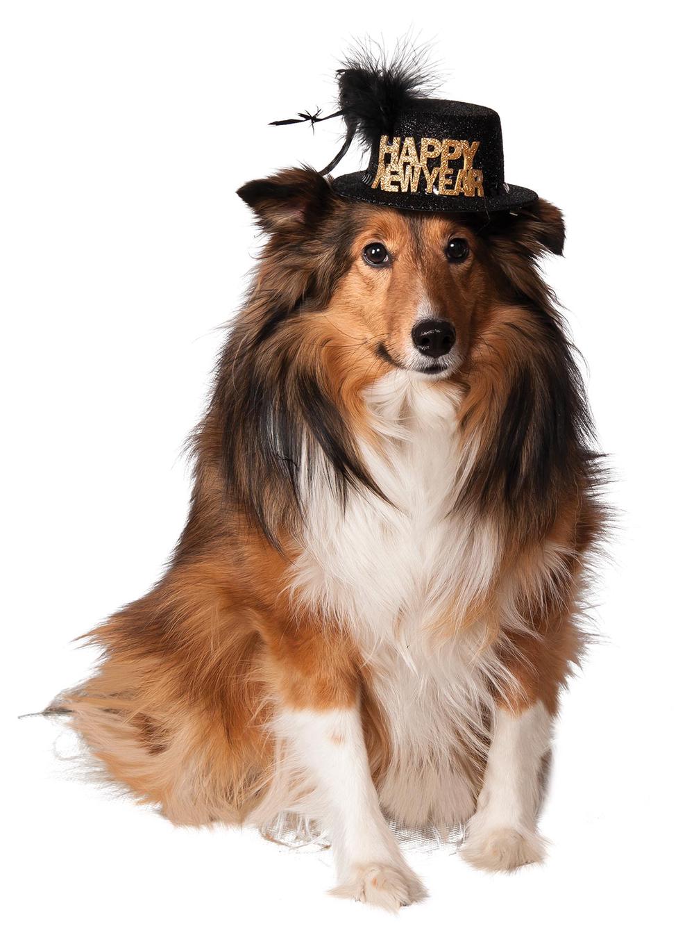 Rubies Happy New Year Pet Hat - Small-Medium, 0883028033072