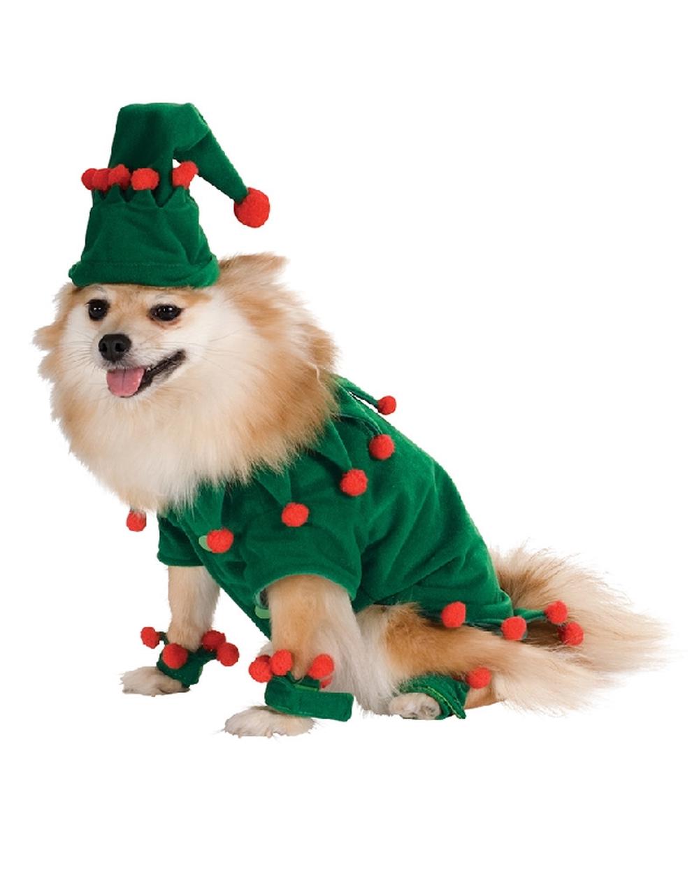 Rubies Elf Pet Costume - Large, 0883028591978