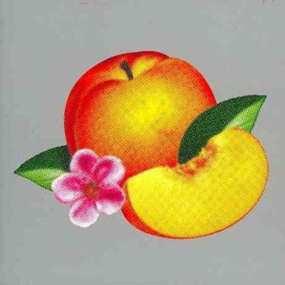 Bankrupt, 0892038002848