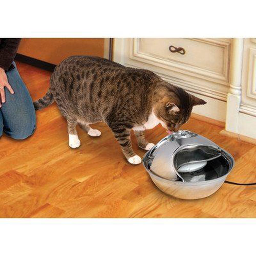 Pioneer pet clearance stainless steel fountain