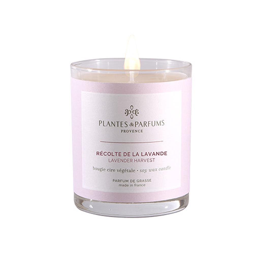 Perfumed Hand Poured Candle (Lavender Harvest) - 75g, 3424090700003