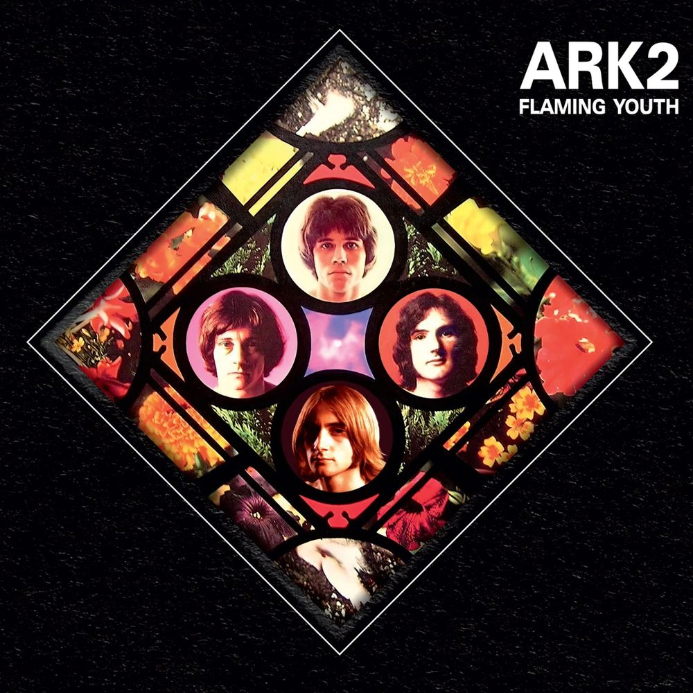 Ark 2 - ISBN: 3426300021328