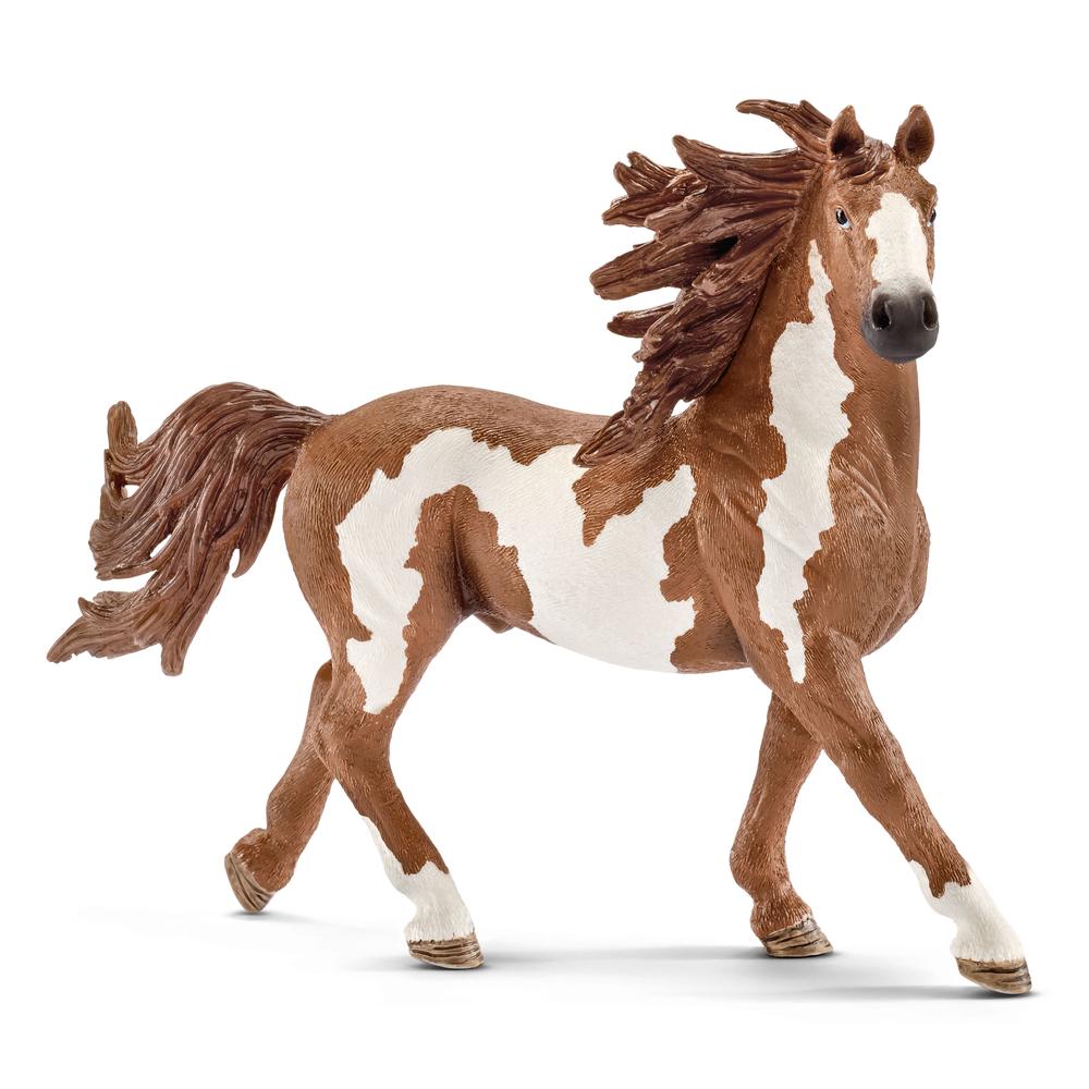 Pinto Stallion, 4005086137943