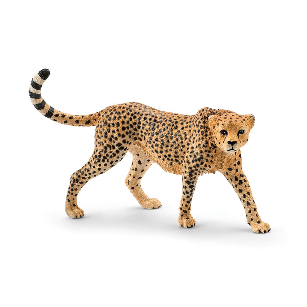 Schleich Cheetah Female, 4005086147461