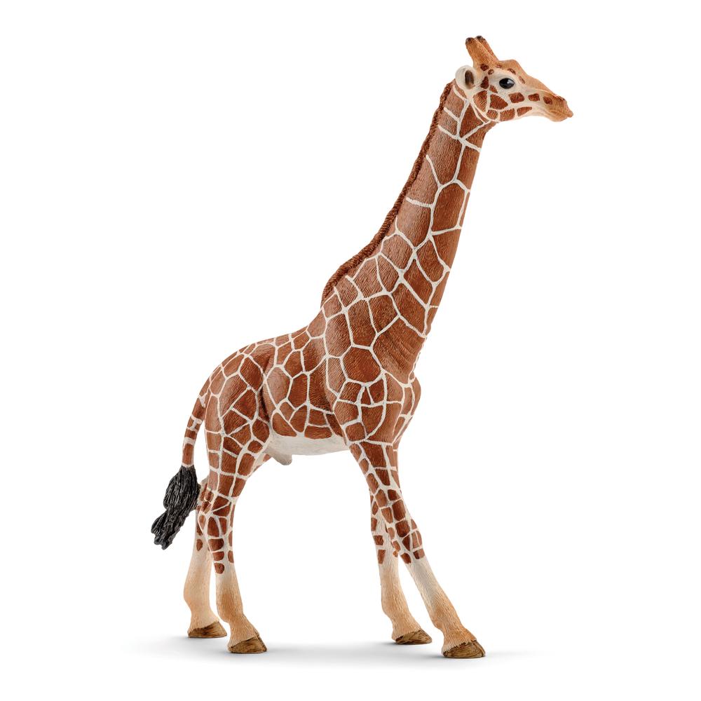 Schleich Giraffe Male Toy Figure, 4005086147492