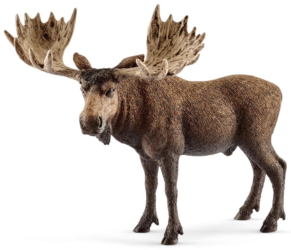 Wild Life - Moose Bull, 4055744012747