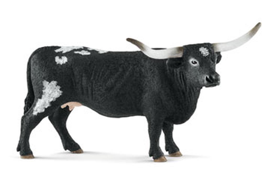Texas Longhorn Cow, 4055744019852