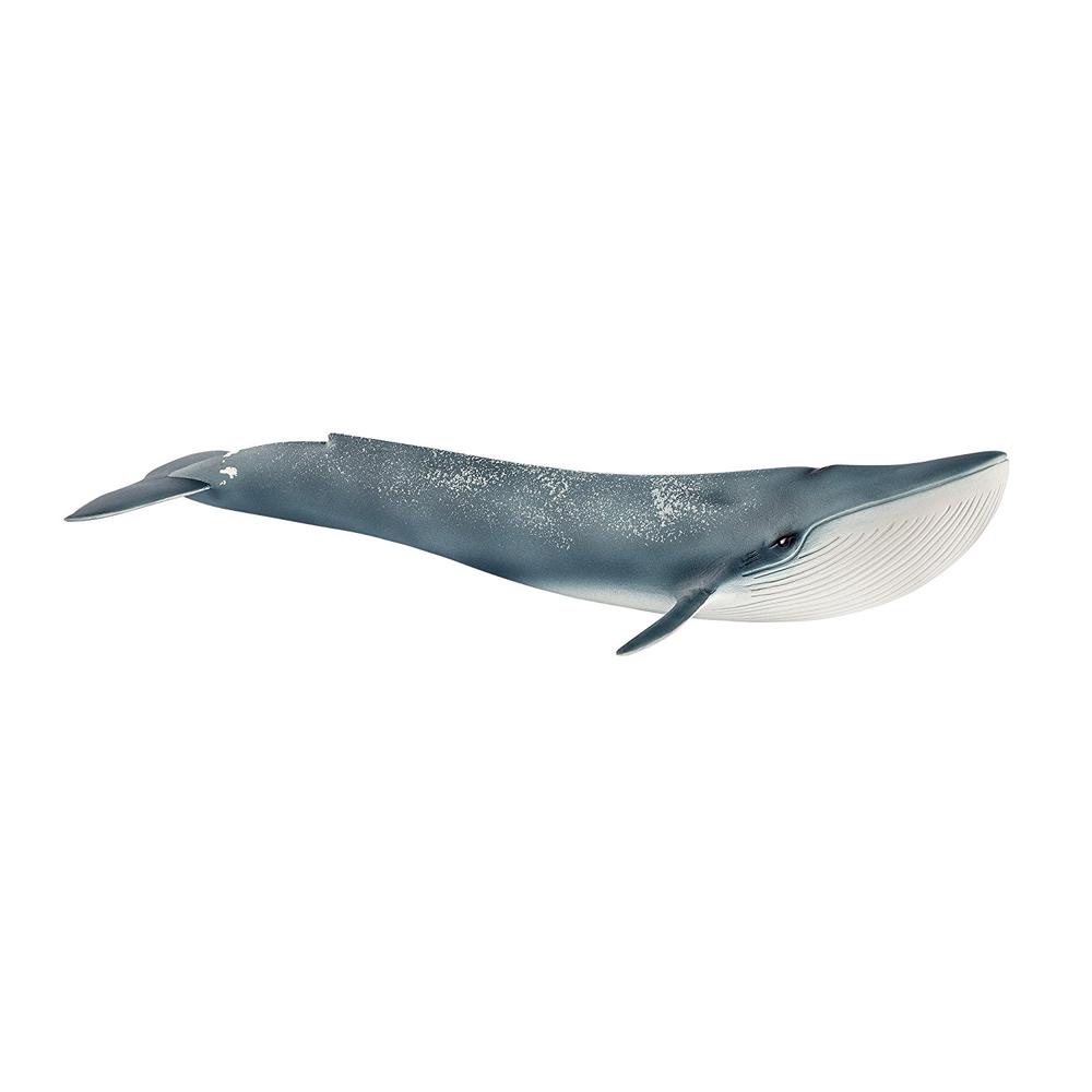 Schleich Blue Whale, 4055744020742