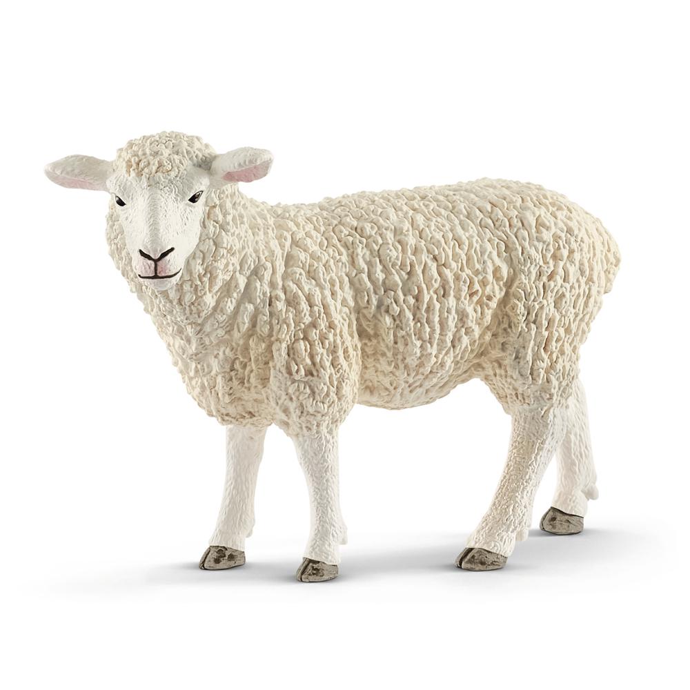Schleich Sheep Toy Figure, 4055744029554