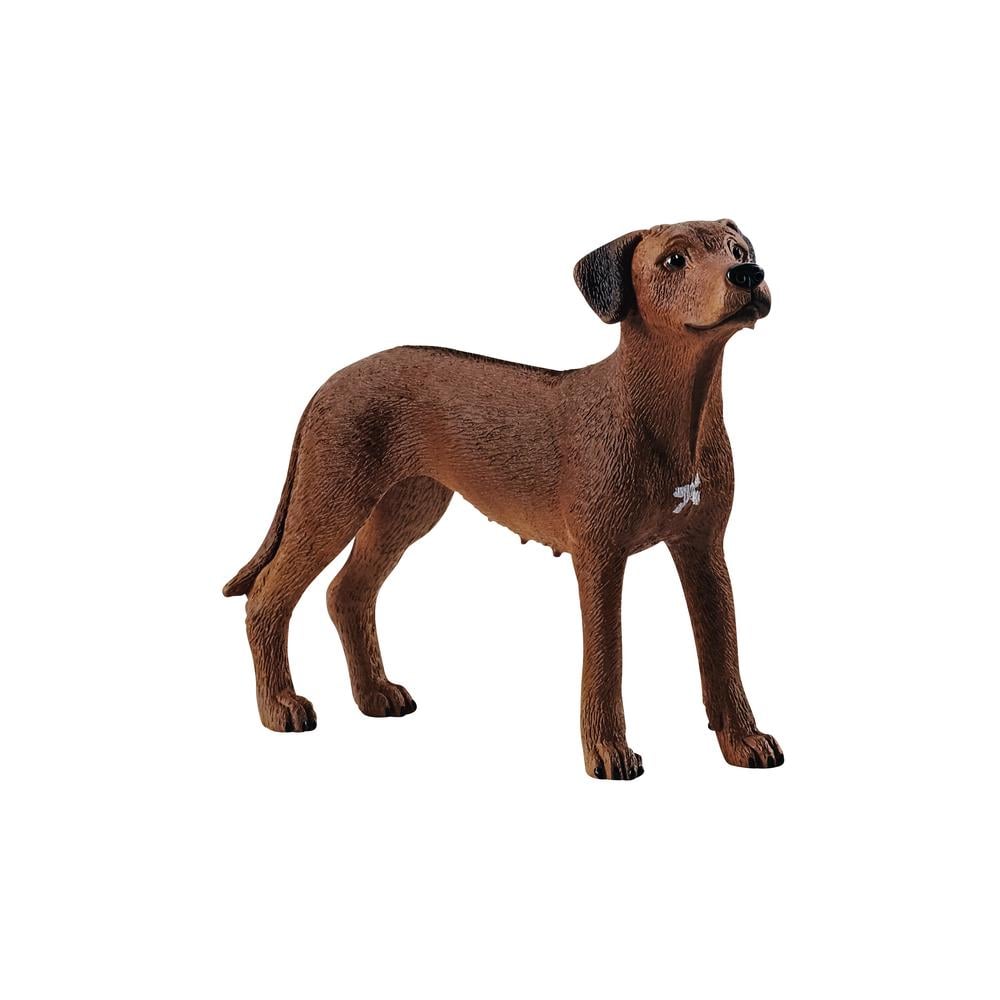 Rhodesian Ridgeback, 4059433007229