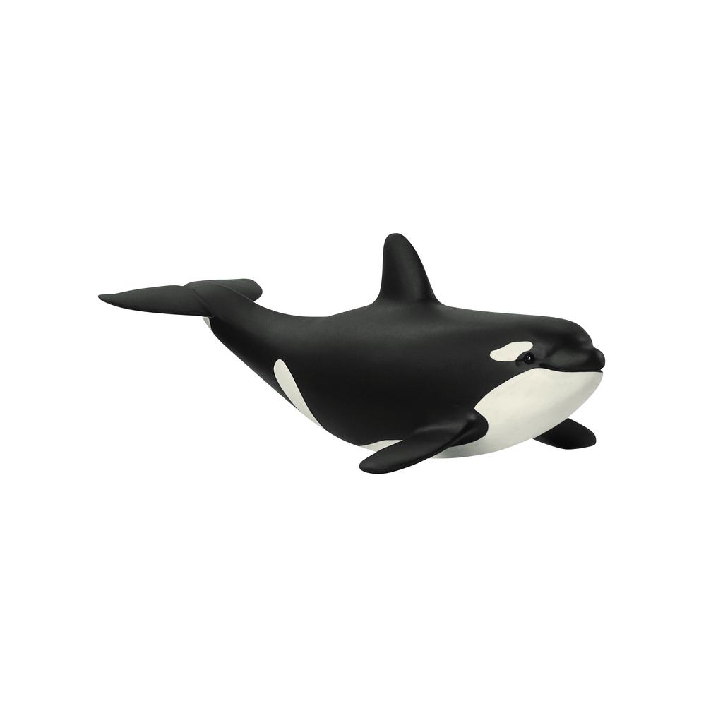 Baby Orca, 4059433013947