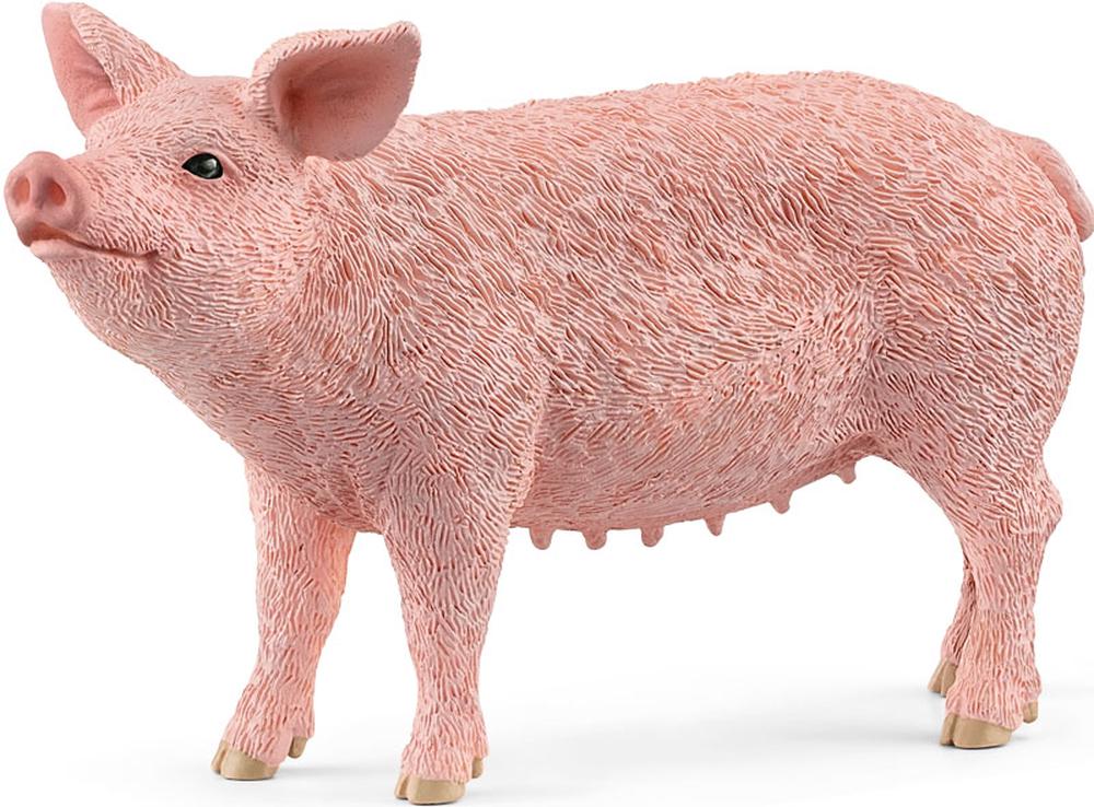 Schleich Pig, 4059433358260
