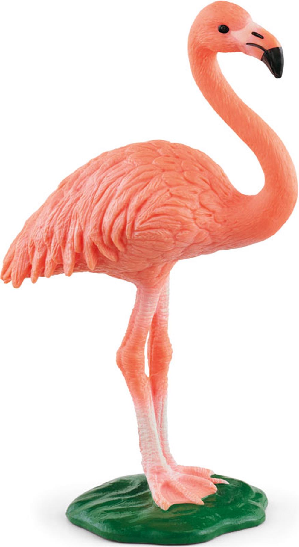 Schleich Flamingo, 4059433364230