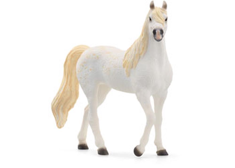 Arab Mare, 4059433753683