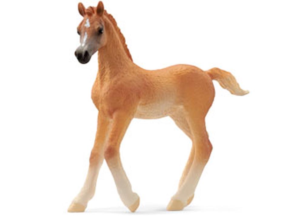 Arab Foal, 4059433753690