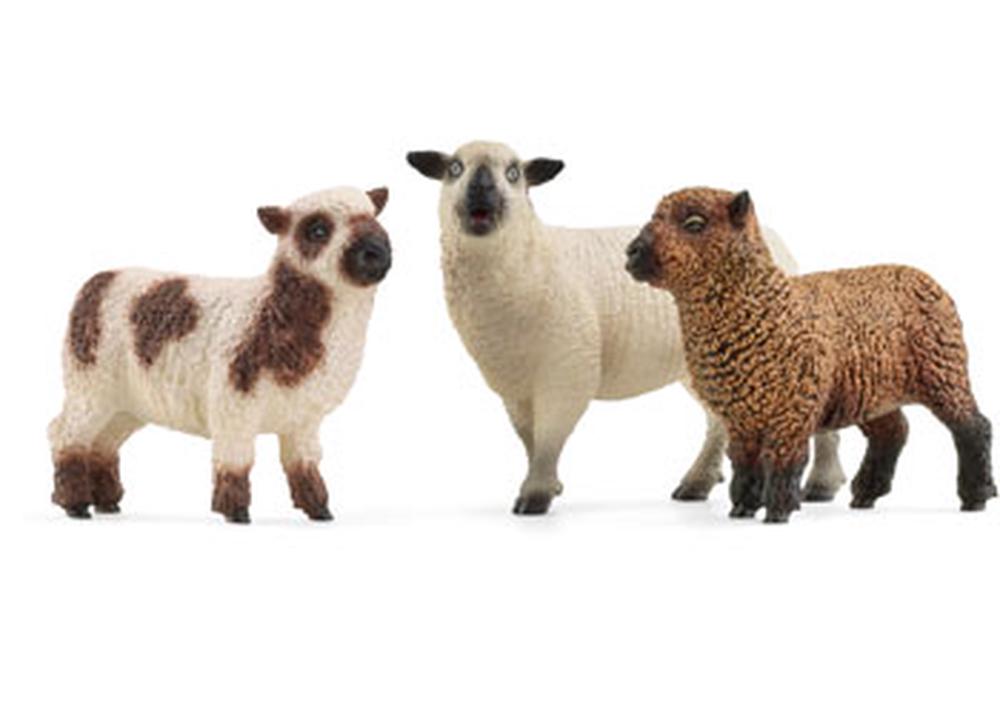 Schleich Sheep Friends, 4059433761923