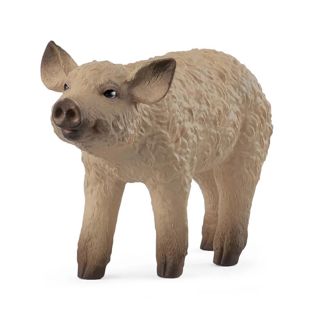 Schleich Mangalica Piglet, 4059433762234