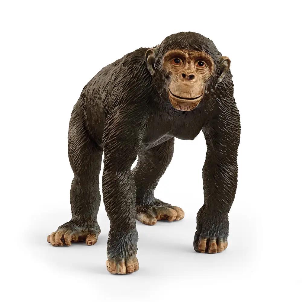 Schleich Chimpanzee 2025 Release, 4059433762326