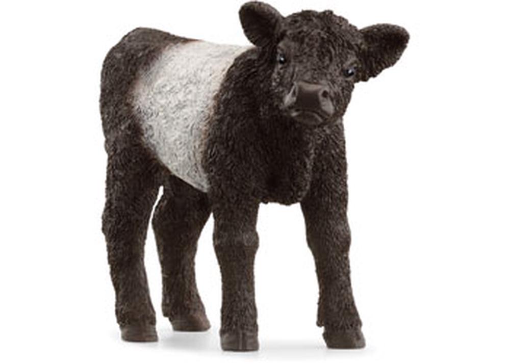 Galloway Calf, 4059433789323