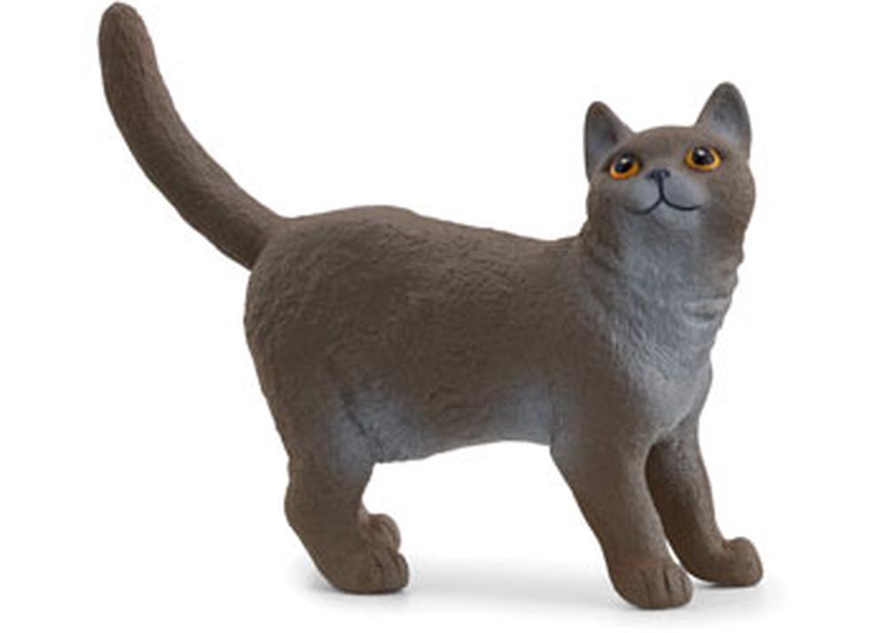Schleich British Shorthair Cat, 4059433789378