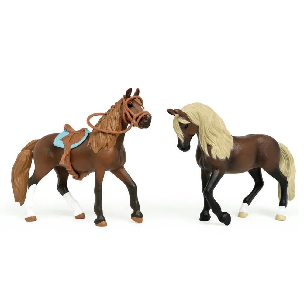 Schleich Horse Club Starter Set, 4059433926278