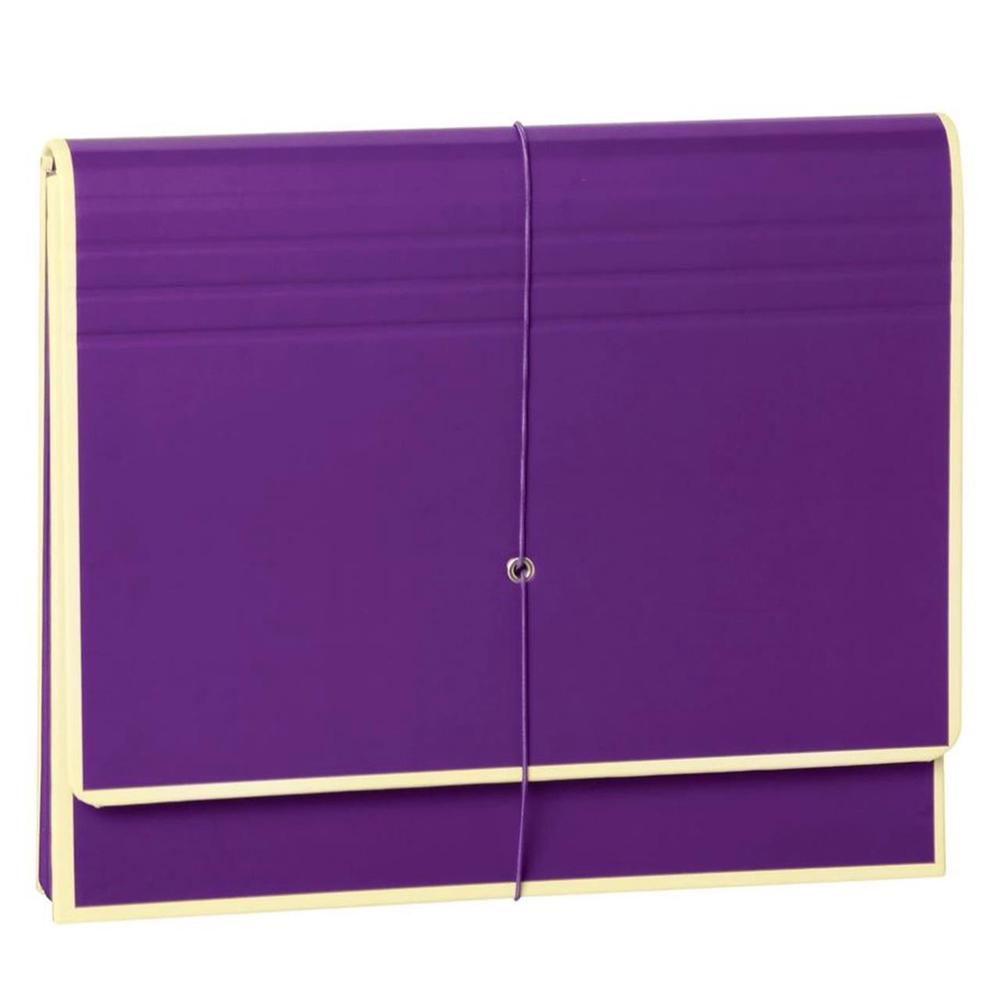 The Accordion (Plum), 4250053639856